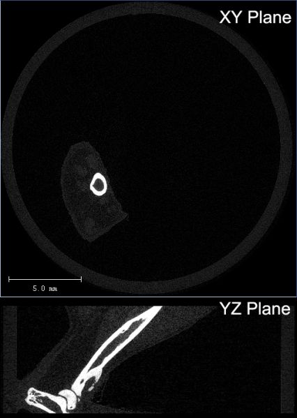 File:Reconstruction xy yz planes.jpg