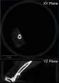 Thumbnail for version as of 20:17, 19 November 2020