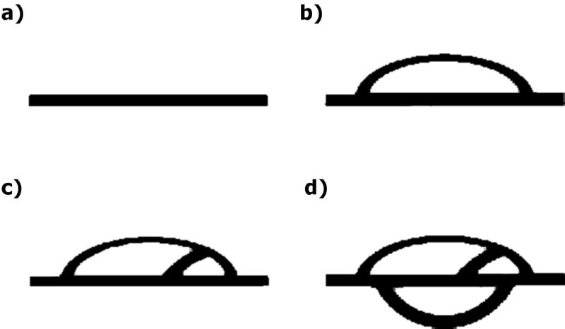 File:ConnD.jpg