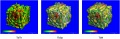 Thumbnail for version as of 04:43, 11 December 2020
