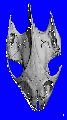 Thumbnail for version as of 00:12, 27 January 2021