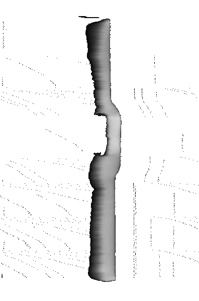 File:002001-50um-xz 140-290.gif
