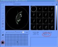 Thumbnail for version as of 13:01, 10 December 2020