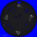 Thumbnail for version as of 01:27, 10 December 2020