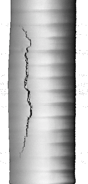 File:003001-36um cut xz 310-390.gif