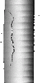 Thumbnail for version as of 01:47, 27 January 2021