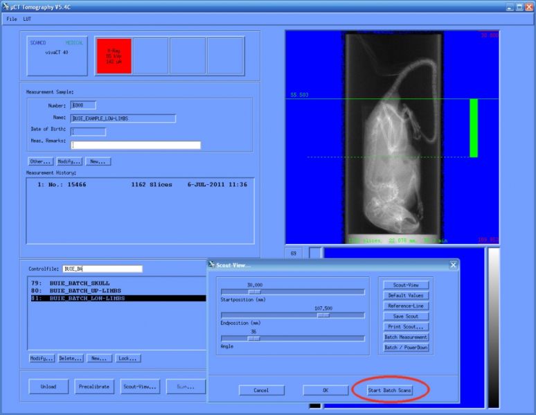 File:Batch scan 04.preview.jpg