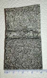 Steel Welds Fusion Zone (50µm, 39 x 66 x 11 mm3)