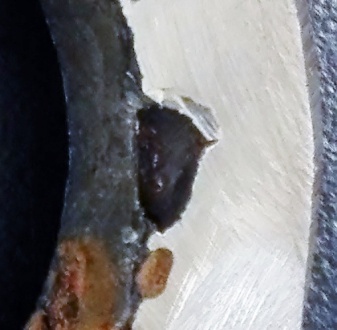 Corroded Welds Ring (21µm zoom in to right side)