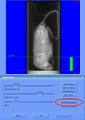 Thumbnail for version as of 22:53, 8 December 2020
