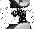 Thumbnail for version as of 02:51, 27 January 2021