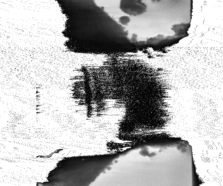 File:001003 zoominside-21um cut xz-260-410.gif