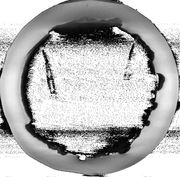 File:001001 full 53um cut xz-60-120.gif