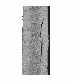 Thumbnail for version as of 01:32, 27 January 2021