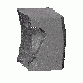 Thumbnail for version as of 02:57, 27 January 2021