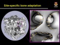 Thumbnail for version as of 17:57, 14 September 2010