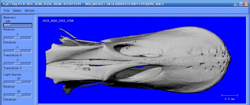 File:Uct 3d pic02.jpg