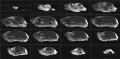 Thumbnail for version as of 00:24, 27 January 2021