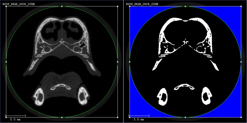 File:Uct evaluation pic06.jpg